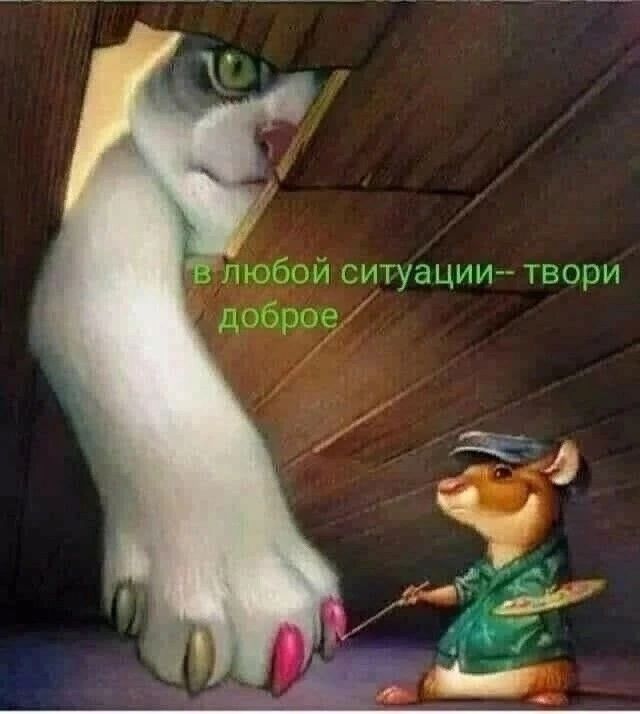 ситуации ТВОПИ 5