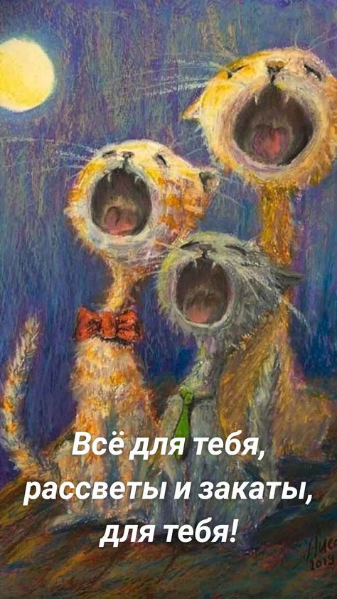 ра _ ыизакаты ДЛя тебя