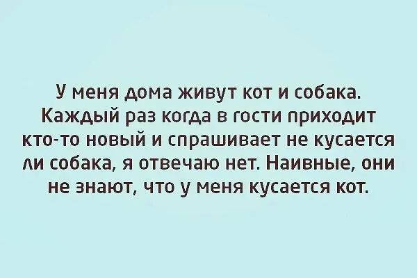 У меня дома живут кот и собака Каждый раз когда в гости приходит кто то новый и спрашивает не кусается АИ собака я отвечаю нет Наивные они не знают что у меня кусается кот