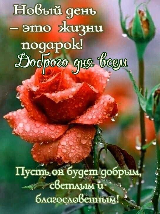 сЗспшымш ъ_