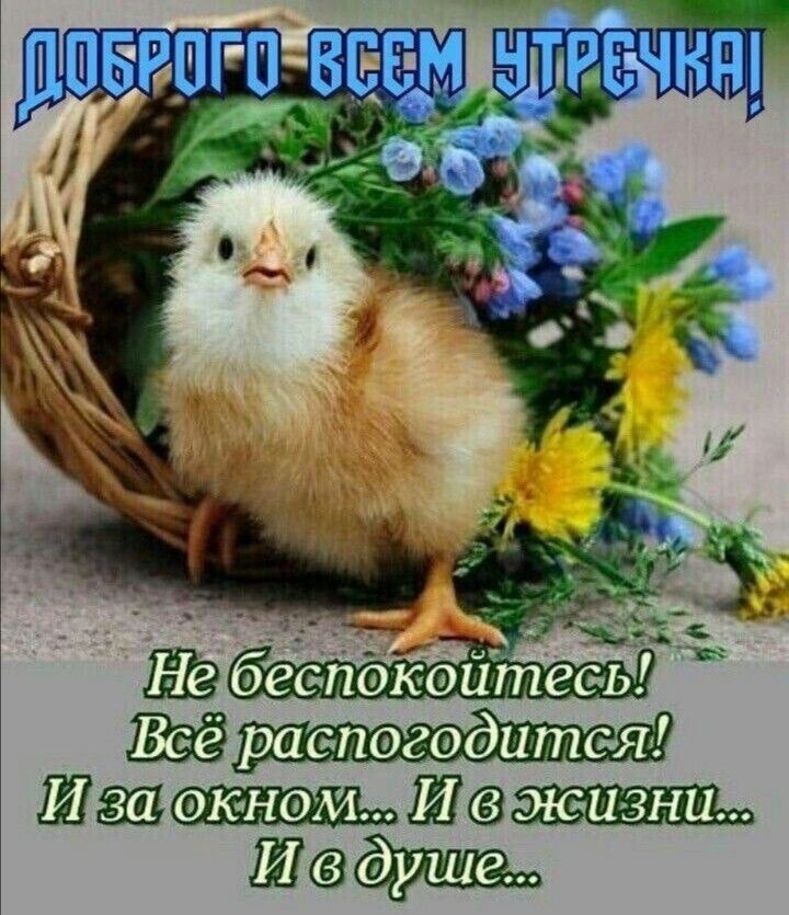 Щапщиштззжшшш Исайи