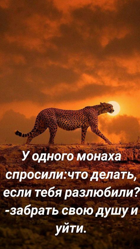 зд Т У одного монаха спросиличто делать если тебя разлюбили забрать свою душу и уйти