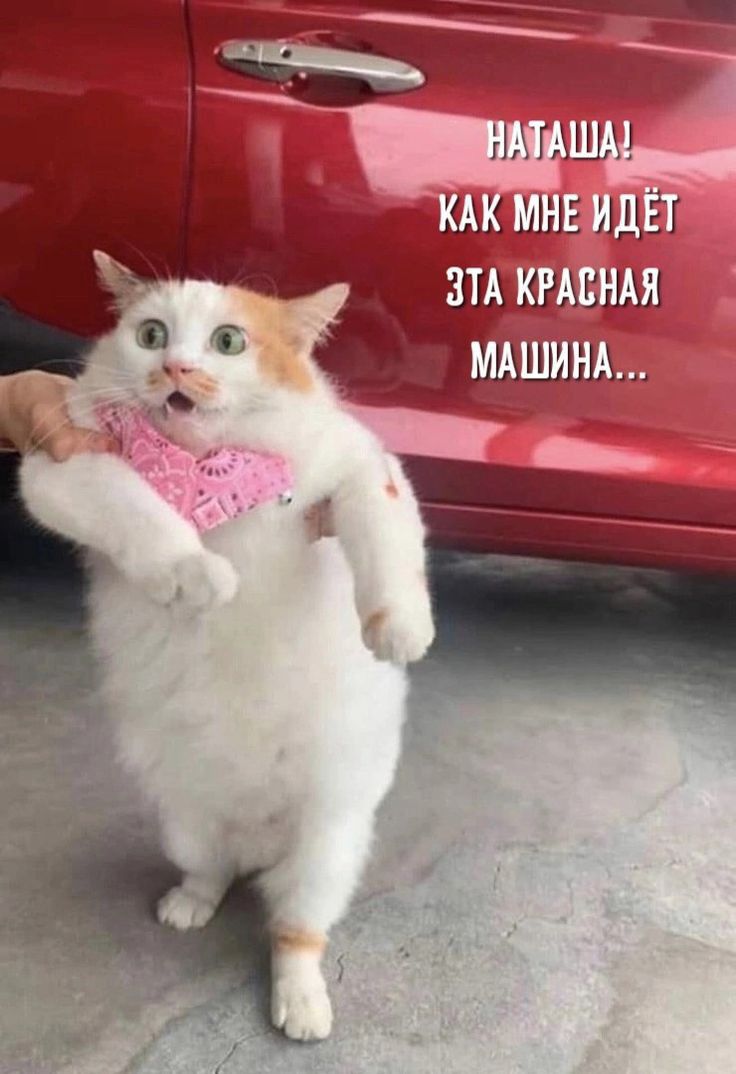 А шт шт