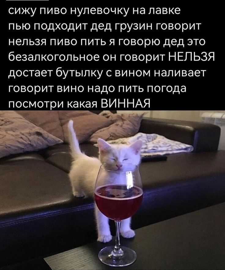 сижу пиво нупевочку на лавке пью подходит дед грузин говорит нельзя пиво пить я говорю дед это безалкогольное он говорит НЕЛЬЗЯ достает бутылку с вином наливает говорит вино надо пить погода посмотри какая ВИННАЯ