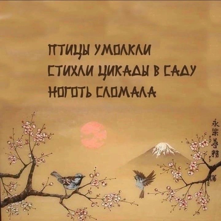 птицы томми стихш цикмн в сш нпгптъ мпмм