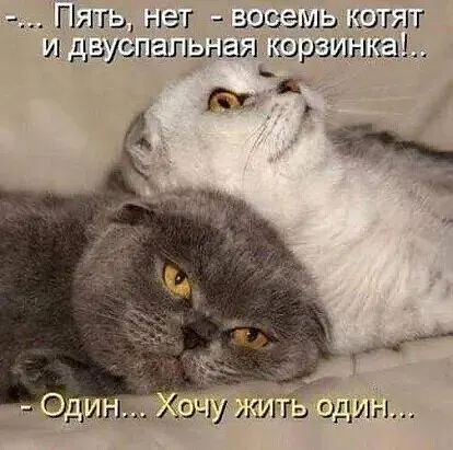 Г М Гц ниг задать эти и п анальная картинка
