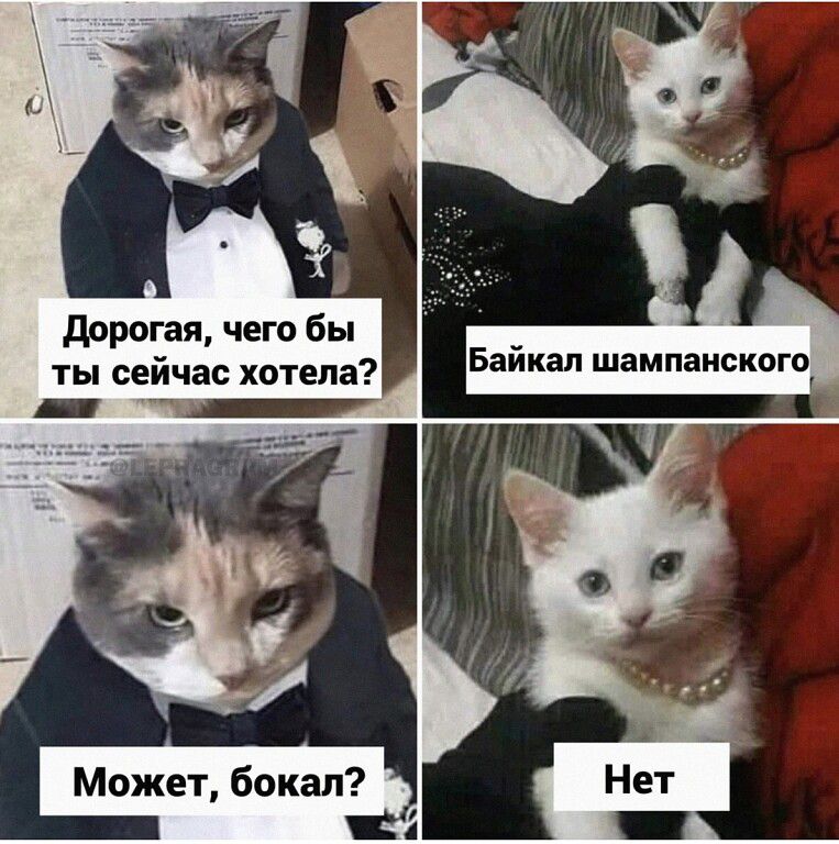 дорогая чего бы ты сейчас хотела _ _ Может бокал