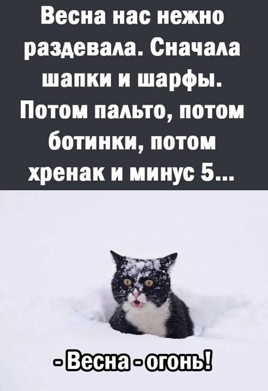 Весна нас нежно раздевада Сначала шапки и шарфы Потом пальто потом ботинки потоп хреиак и минус 5