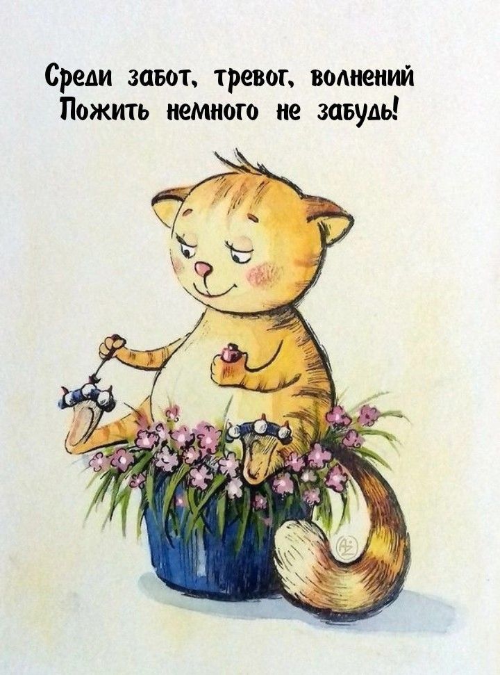 Среди завет тревог вомюиий Пожить немного не зпъудь