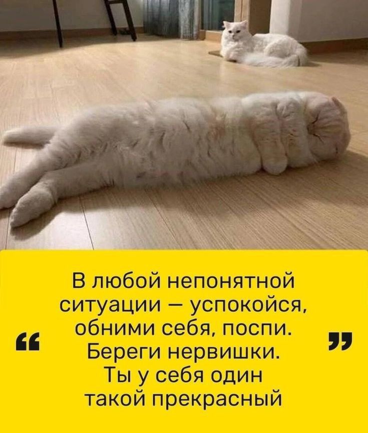 бой непонятной В лк Си уации у Ты у себя один кой прекрасный