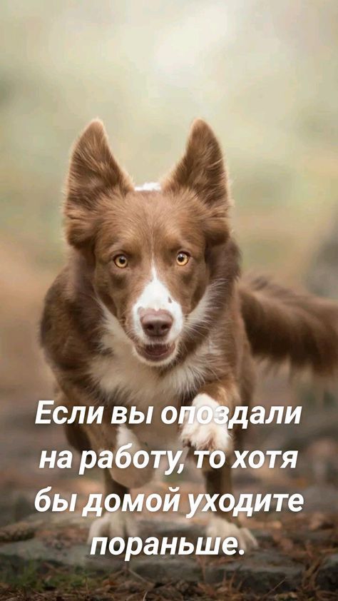 Если к о али на ра хетя бьЁЁЖИЮ