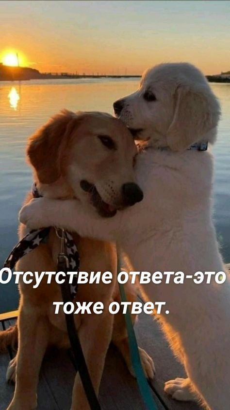 Отсутствие дтвета э тоже ответ т