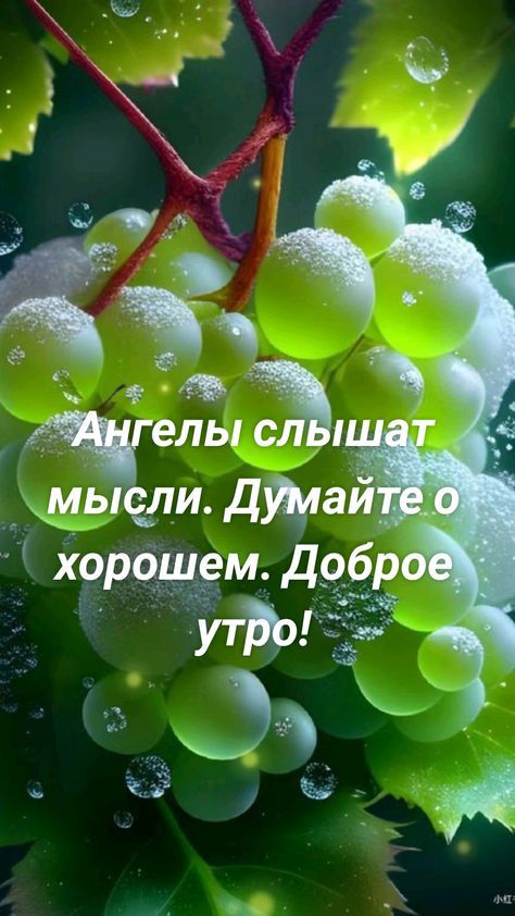 _ 1 ъ елыс мы ли Джан хорошём д9бр ути др