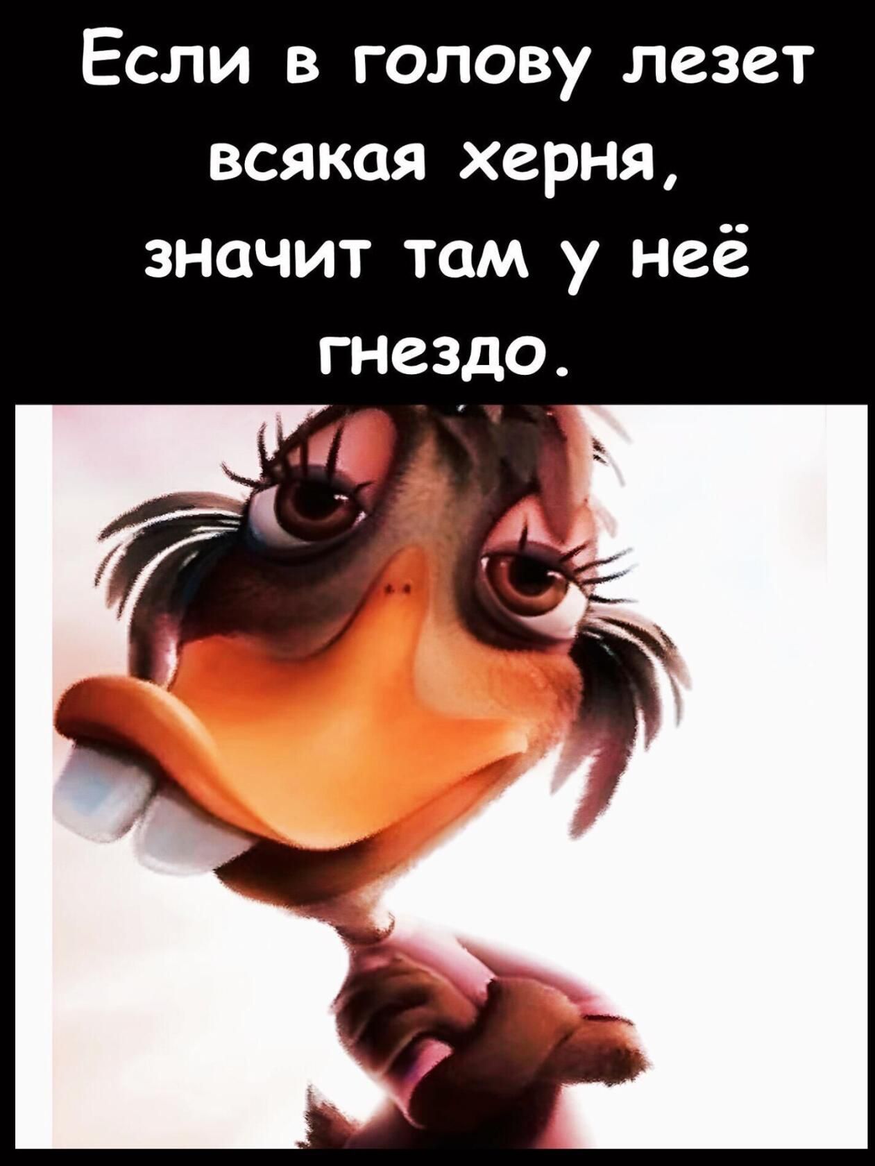 Если в голову лезет всякая херня значит там у неё гнездо