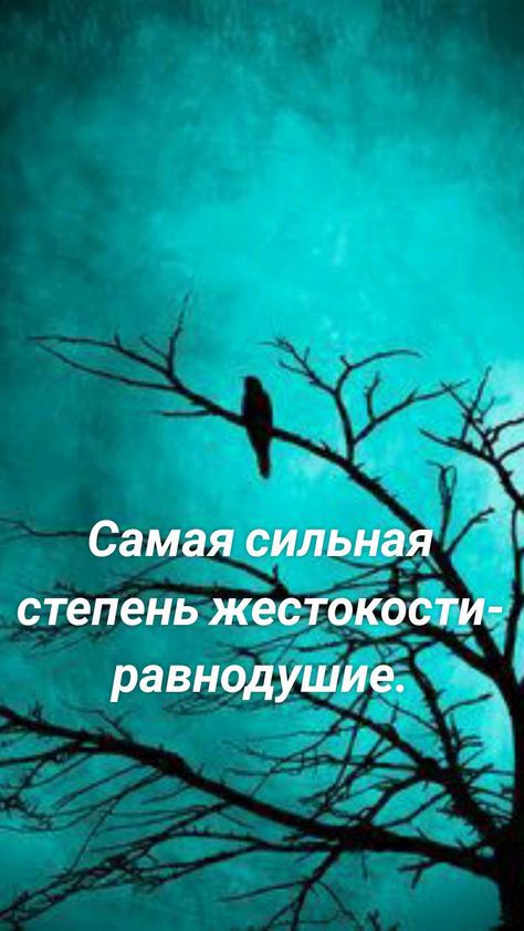 Самая сильная степень жестокости равнодушие