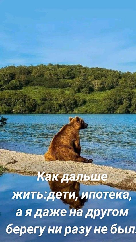 житьдети ипоіёйа а я даже на другом берегу ни разу не был