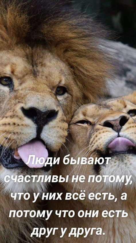 другдругу