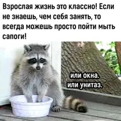 Взрослая жизнь это классно Если не знаешь чем себя занять то всегда можешь просто пойти мыть сапоги ИЛИ окна _или унитаз