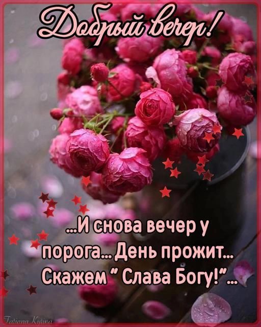 Щенорад вечер у порога день пр_ожит _ Скажем Спада Богукг изь