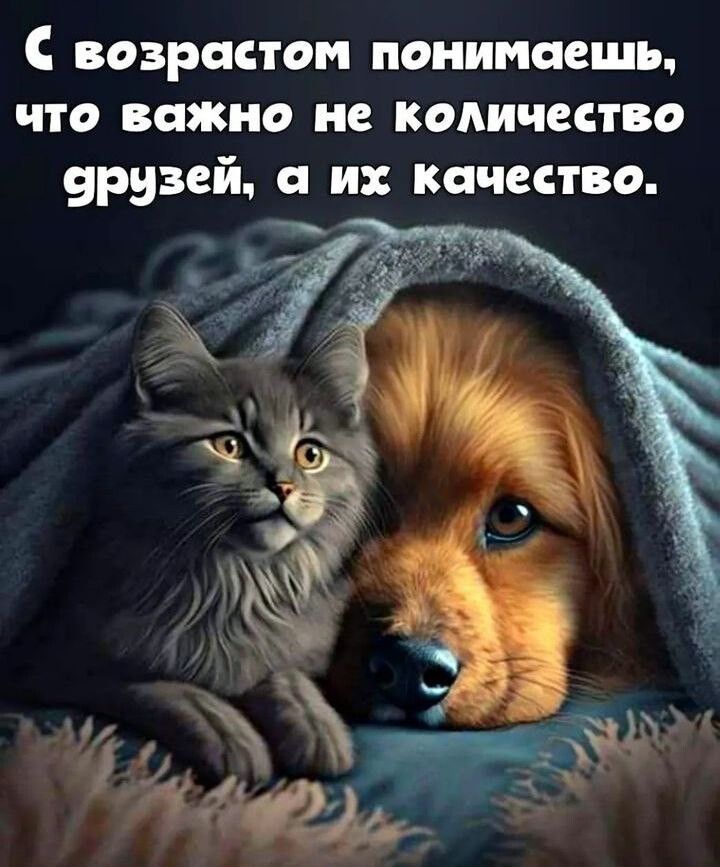 С возрастом понимаешь что важно не количество эрузей их Качество