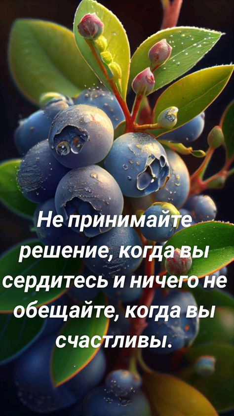 решение муж сердитесь и нич обеЩайте к9 11 уливы