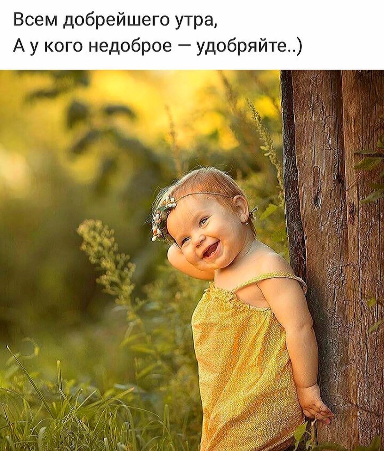 Всем добрейшего утра А у кого недоброе удобряйте