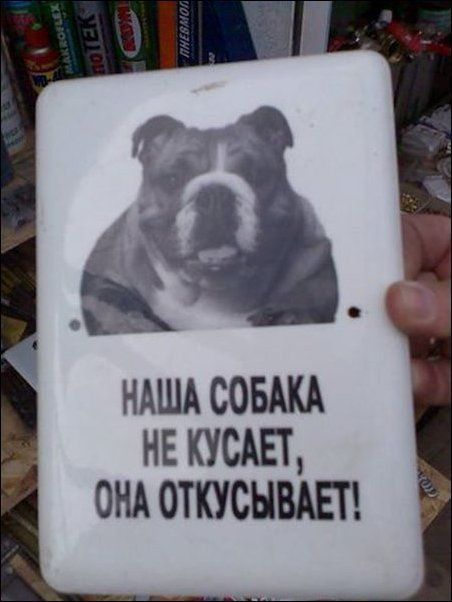 НАША СОБАКА НЕ КУСАЕТ ОНА ОТКУСНВАЕТ