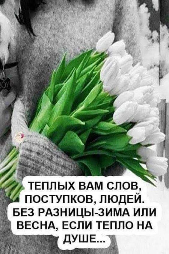 теплых вдм слов поступков ЛЮДЕЙ БЕЗ РАЗНИЦЫ ЗИМА или ВЕСНА ЕСЛИ ТЕПЛО НА душе