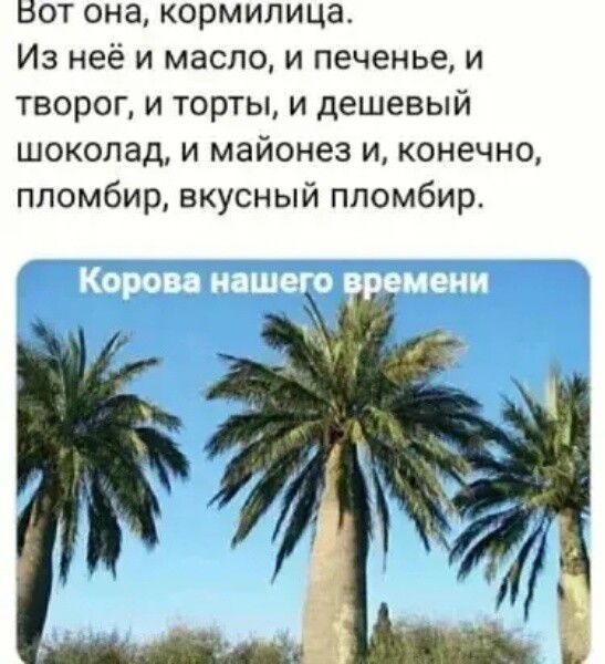Нот она кормилица Из неё и масло и печенье и творог и торты и дешевый шоколад и майонез и конечно ппомбир вкусный ппомбир Гсг 7 777 7 д7