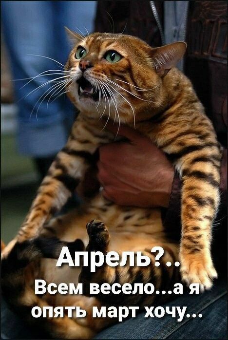 пр В веселба он _ артхочу _
