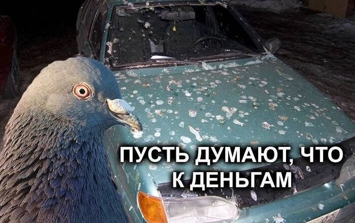 ПУСТЬ ДУМАЮТ ЧТО КдЕНЬГАМ Р 7