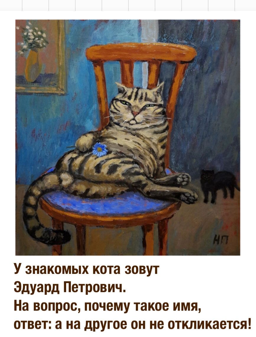 У знакомых кота зовут Эдуард Петрович На вопрос почему такое имя ответ а на другое он не откликается