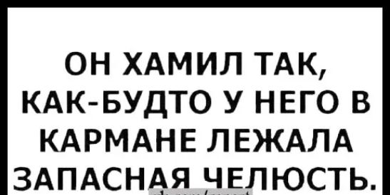 ОН ХАМИЛ ТАК КАК БУДТО У НЕГО В КАРМАНЕ ЛЕЖАЛА ЗАПАСНАЯ ЧЕЛЮСТЬ