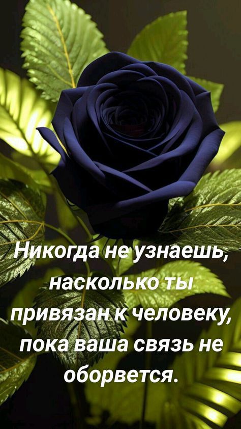 _ а когдёнфзнаешвті Найти привё желовеку ПОК ша СВЯЗЬ не оборвется