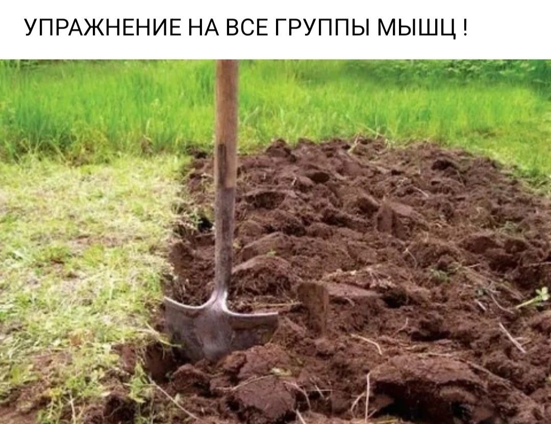 ПРАЖНЕНИЕ НА ВСЕ ГРУППЫ МЫШЦ