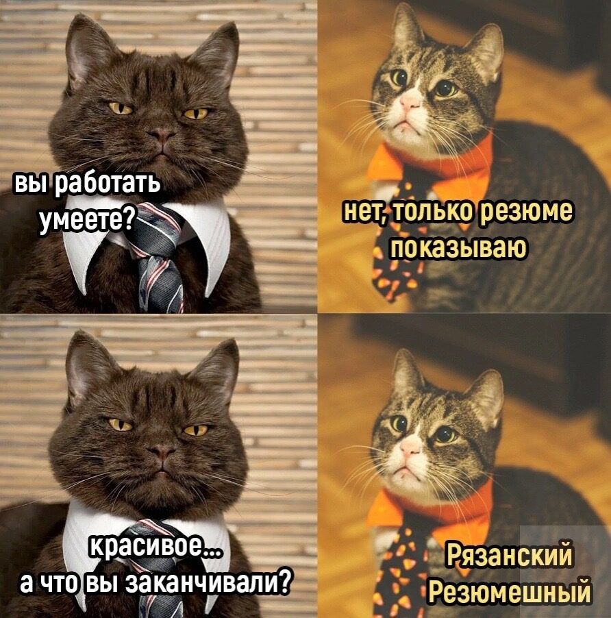 вы работать УЁЁ Резюмешиыик