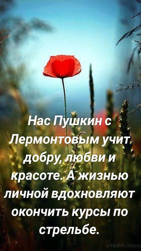 расоте ТЖизнью Личной вдЬхнЬвЛяют окончить курсы по стрельбе