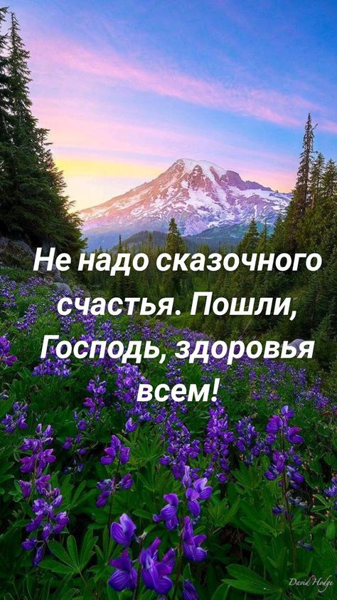 Не нёдо сказочного счастья Пошли Господь _здрровкя всем 35 д