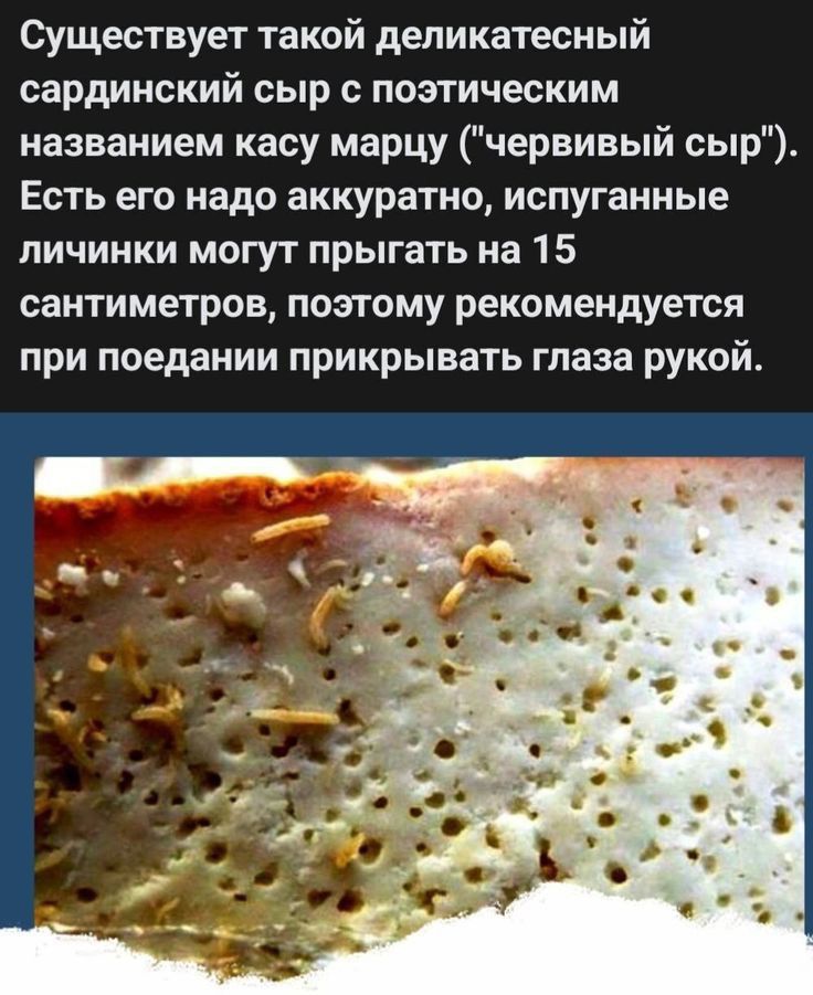 Сыр касу марцу фото