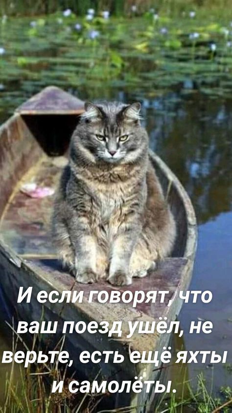 1 есть и самол