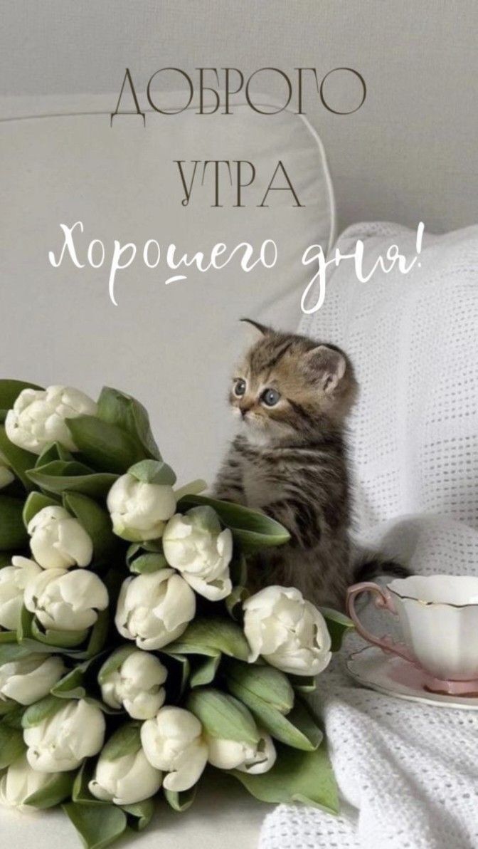 АОБРОГО УТРА гг