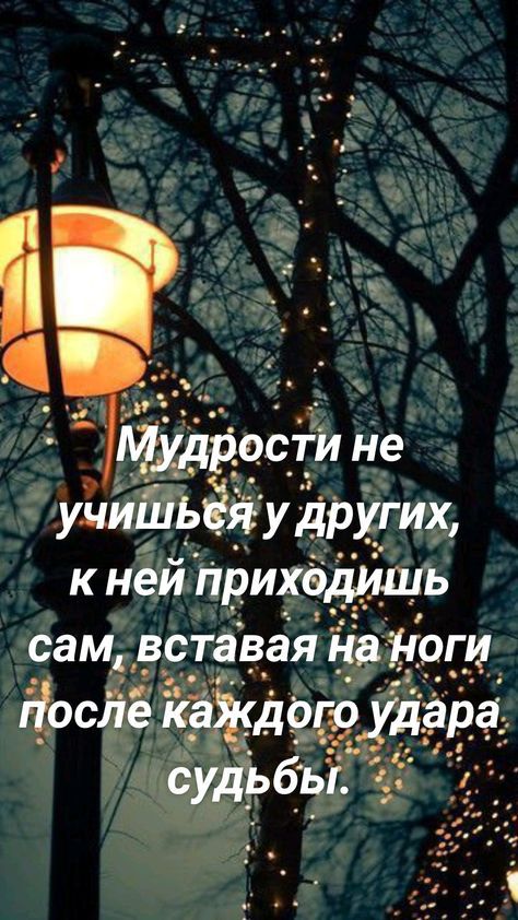 Мудрости не удшйьщ у других к ней приходишь сам вставая на Югу Ёосйе каёдощудара суд__ь б_ы