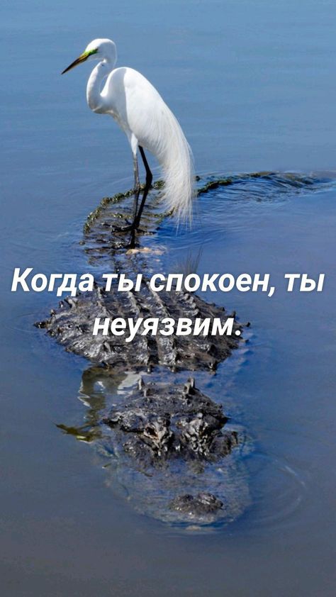 Е Когда ПКОСНОНОЕЕ