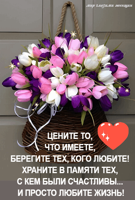 ду цуп так ЧТО ИМЕЕТЕ БЕРЕГИТЕТЕХ КОГО ЛЮБИТЕ ХРАНИТЕ В ПАМЯТИ ТЕХ С КЕМ БЫЛИ СЧАСТЛИВЫ И ПРОСТО ЛЮБИТЕ ЖИЗНЬ