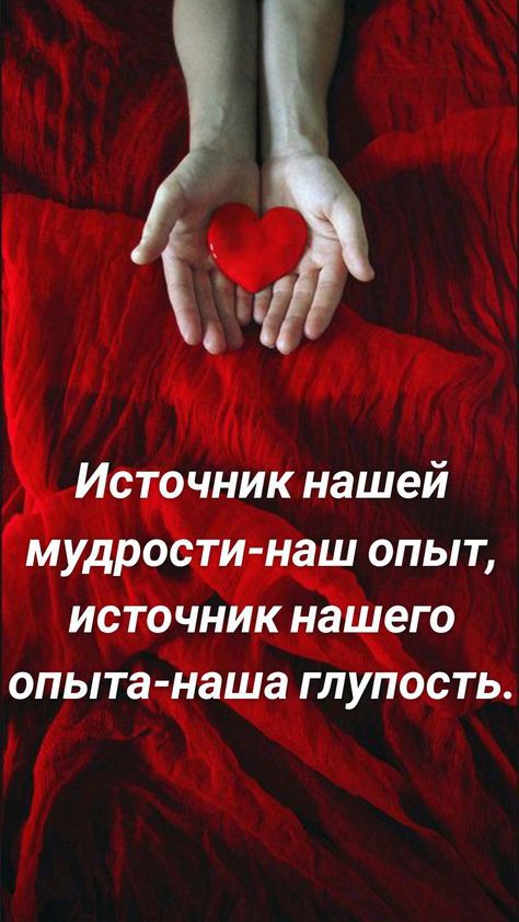 4 Источник нашей мудрости наш опыт источник нашего опыта наша глупость