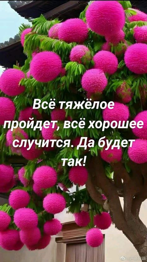 щ гп г т ц 7 Ебё тяжёлое пройдет воё хорошее случится 156341 будет