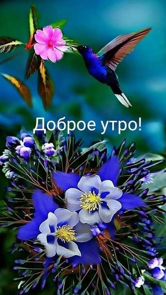 т __ і Доброе утро