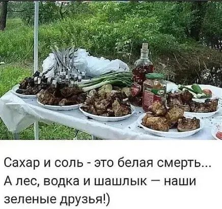 Сахар и соль это белая смерть А лес водка и шашлык наши зеленые друзья