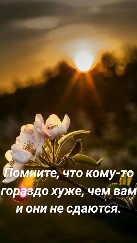 МНИТЭ ЧТО КОМУ ТО горидо хуже чем вам и они не сдаются