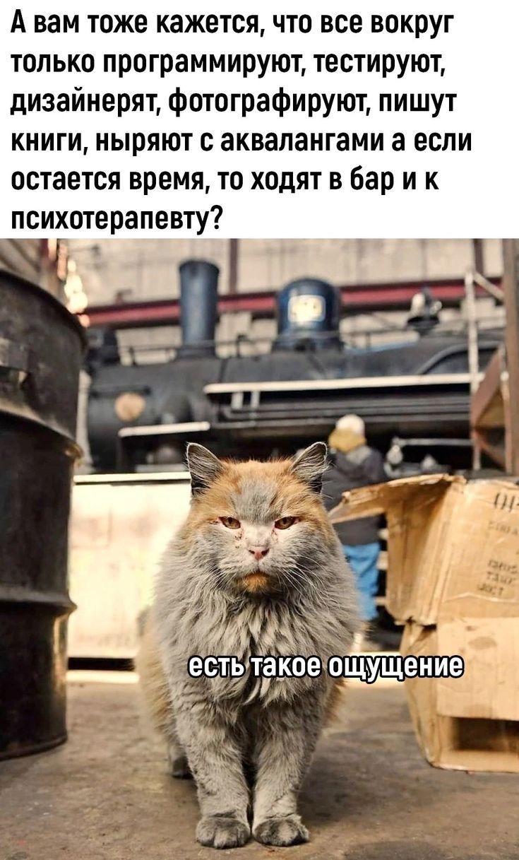 А вам тоже кажется что все вокруг только программируют тестируют дизайнерят Фотографируют пишут книги ныряют с аквалангами а если остается время то ходят в бар и к психотерапевту